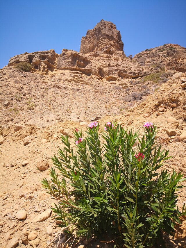 Entre Agia Galini et Kokinos Pyrgos